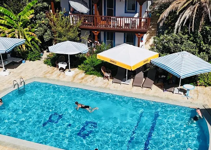 Paradise 3*