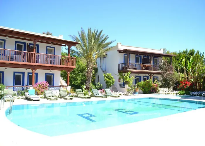 Paradise 3*