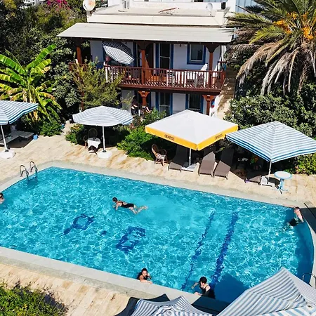 Paradise 3*