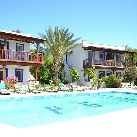Paradise 3*